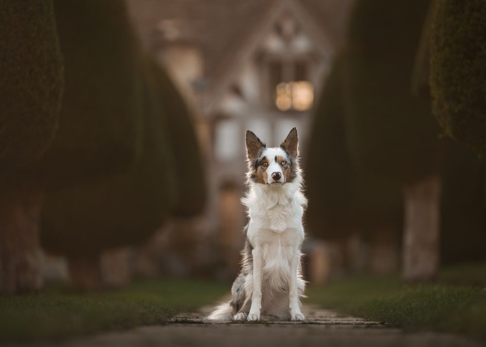 Photograph by Susan Lang