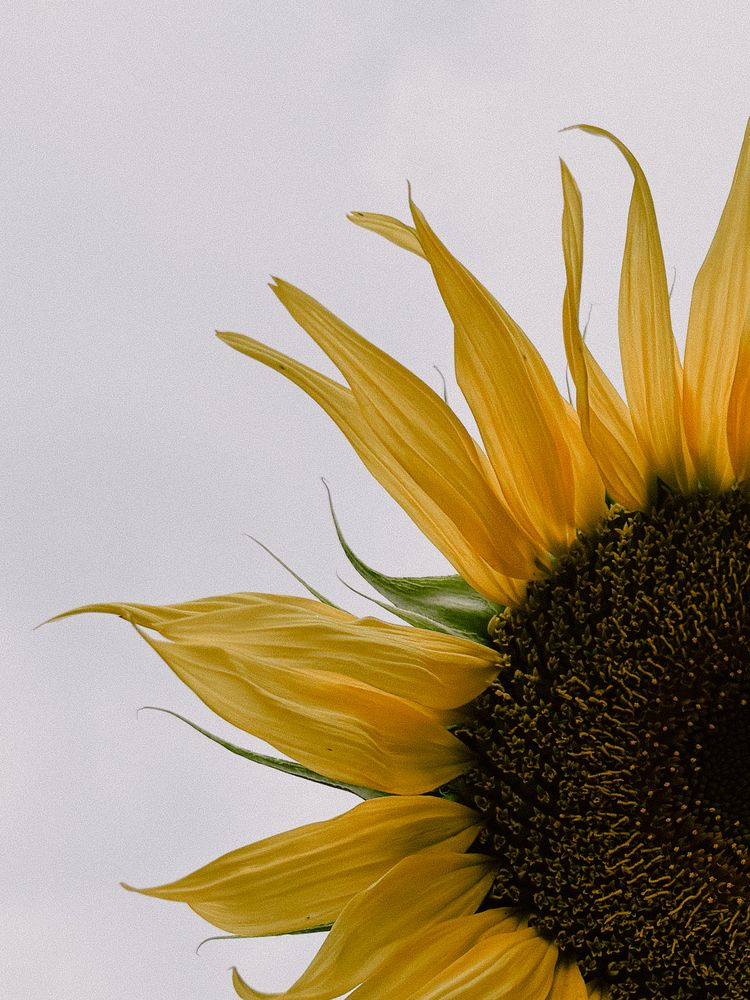 Photograph by Анна