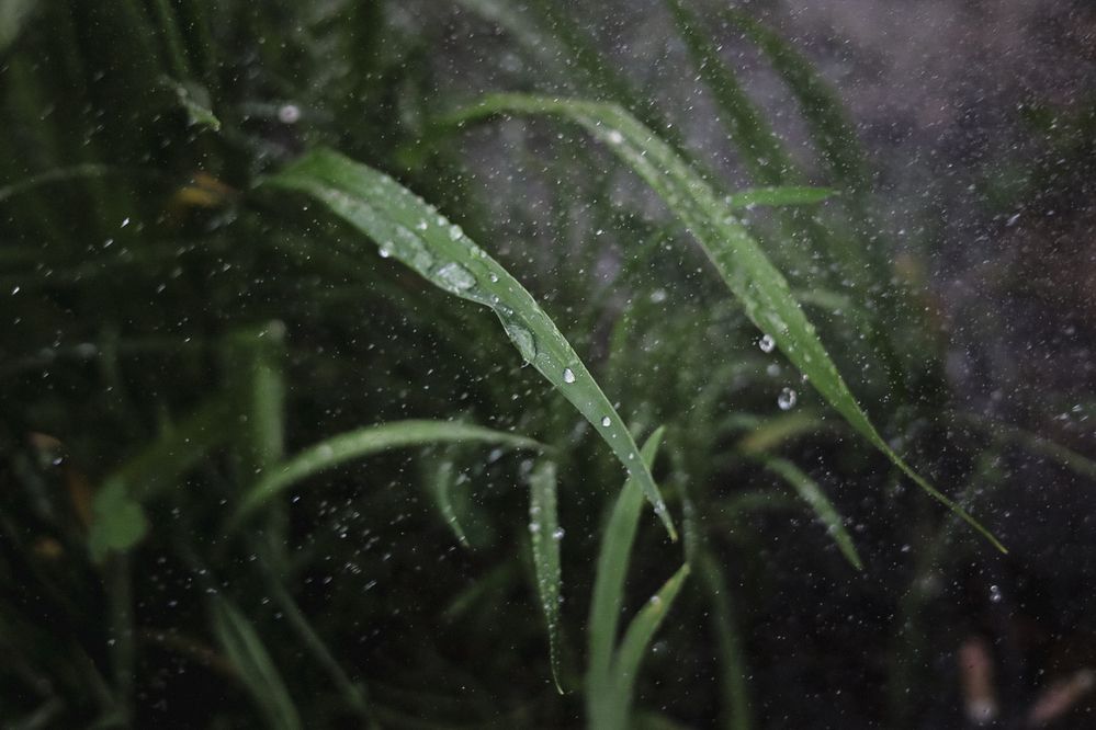 Photograph by Александра Кропивка