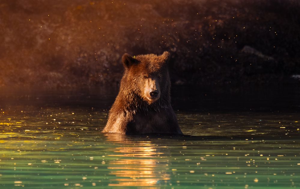 Guardian of the Dawn