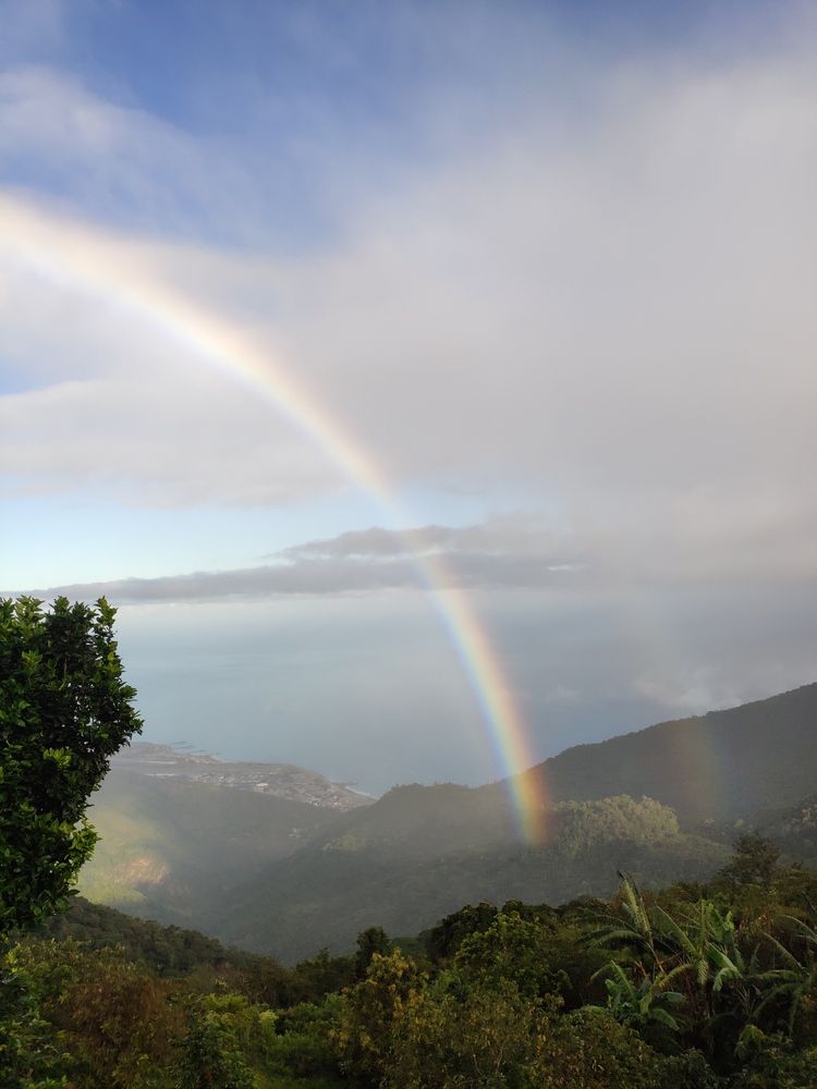 Photograph by Marzio Fattorini