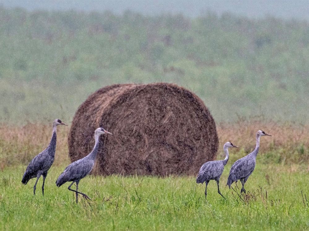 Photograph by Константин Тучин