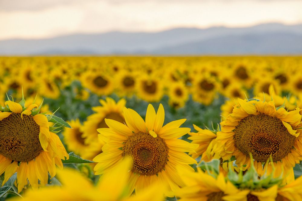 Photograph by Наиль Шакиров