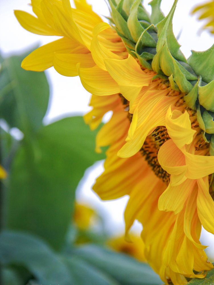 Photograph by Наиль Шакиров