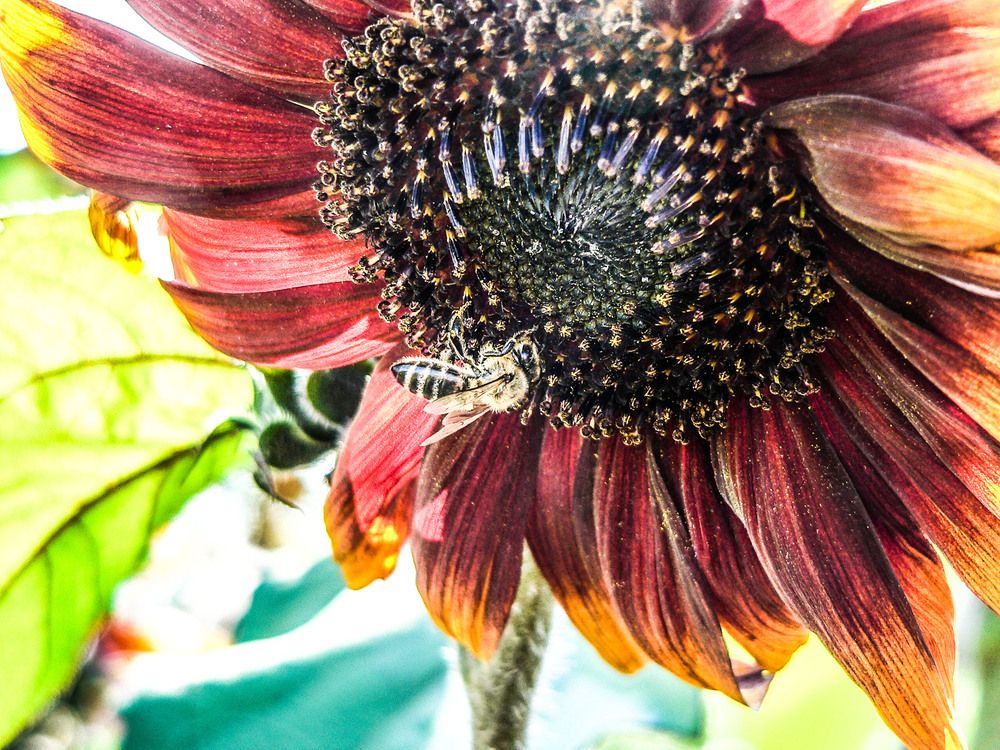 Photograph by Дмитрий