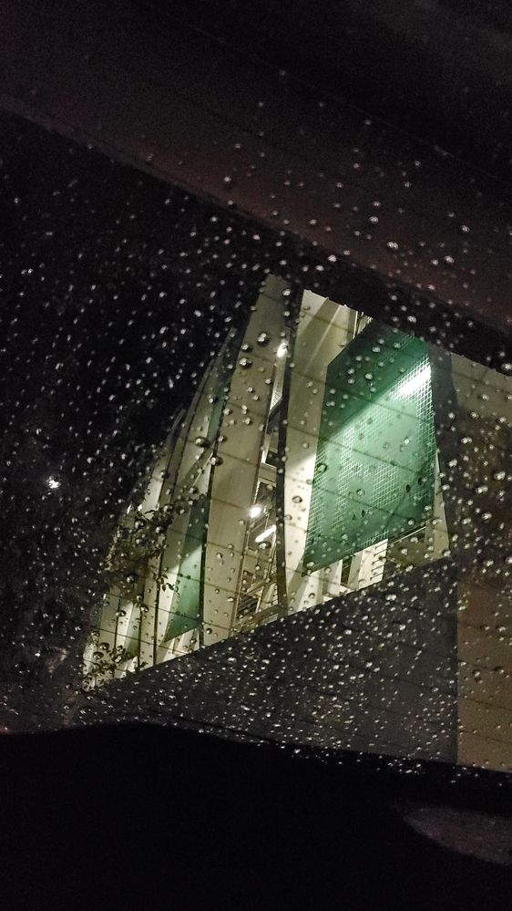 Photograph by Elena Shliachkova