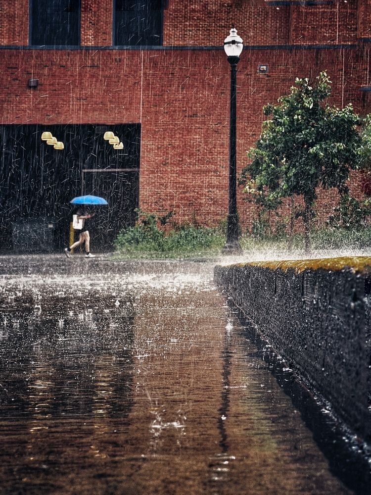 Photograph by Юлия Порфирьева