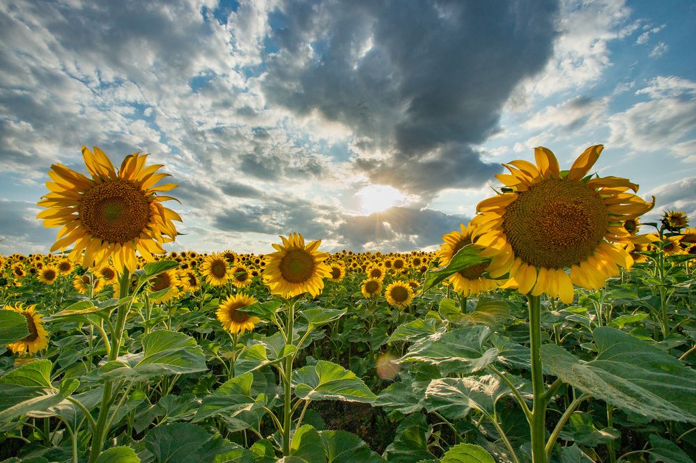 Фотография автора Вадим Топычканов