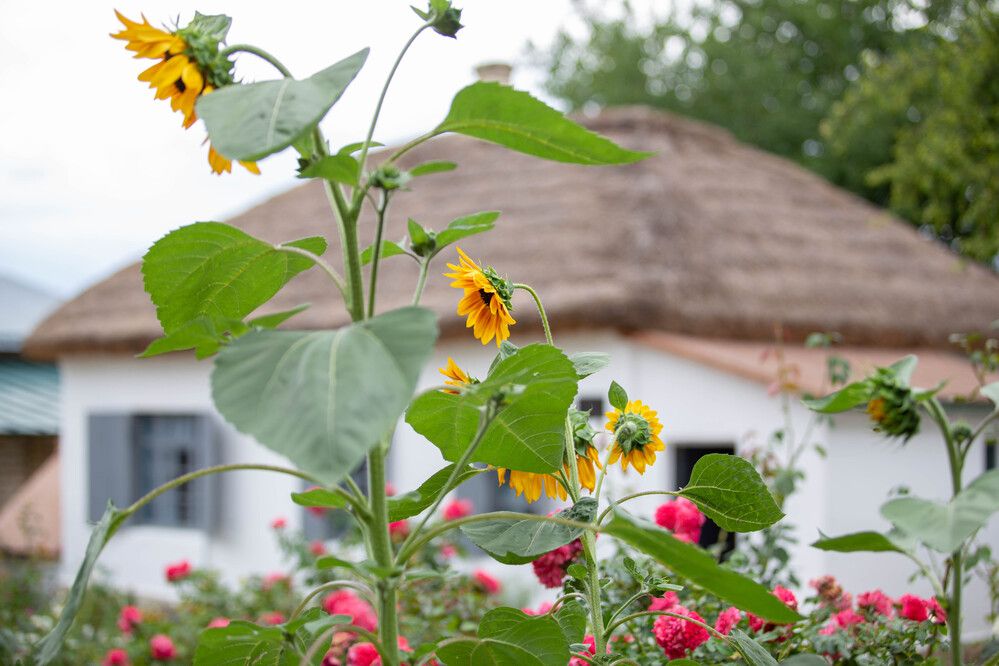 Photograph by Виталий Са