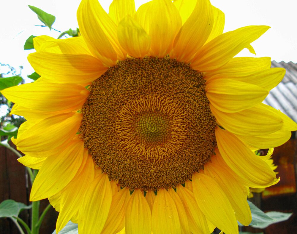 Photograph by Виталий Са