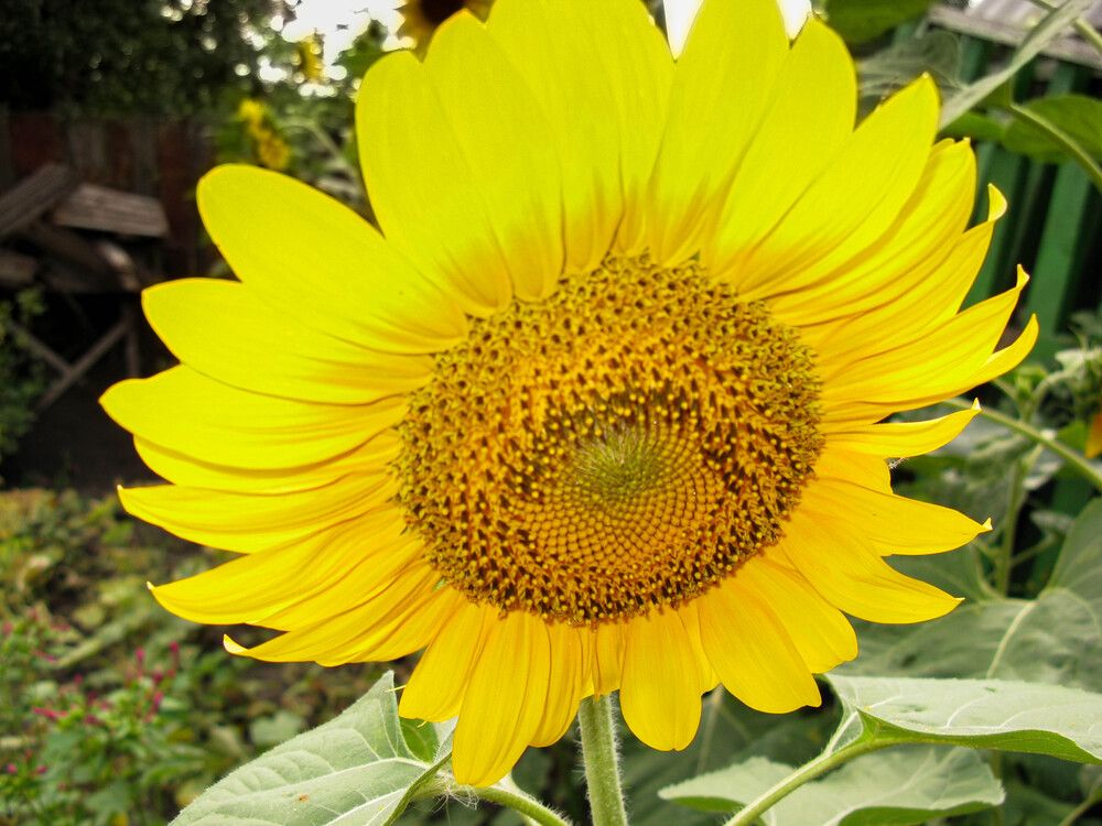 Photograph by Виталий Са