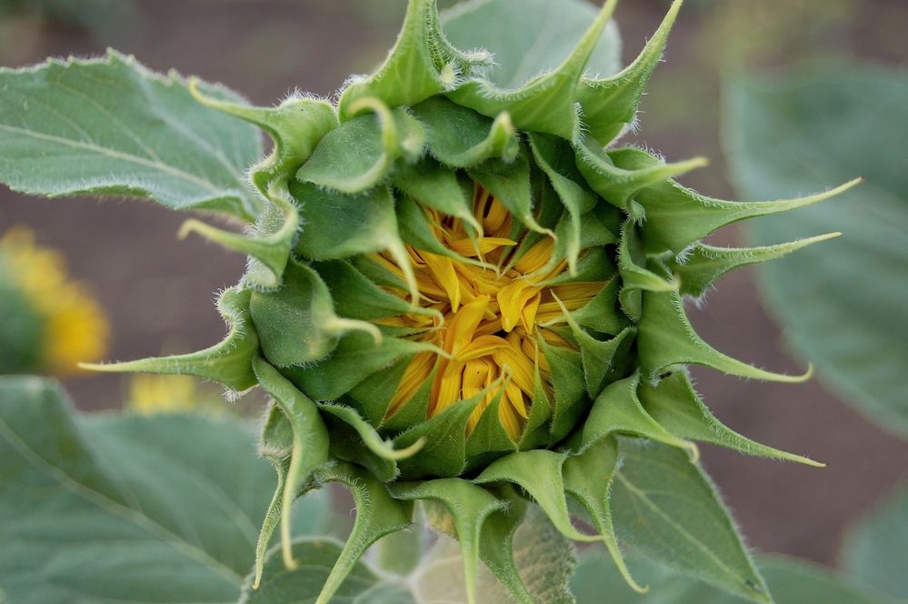 Photograph by Марина Фомина