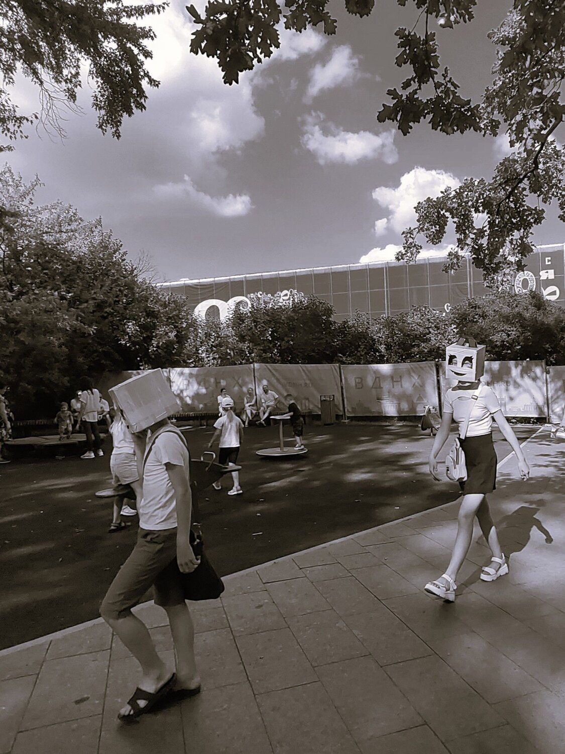 Photo #12626423