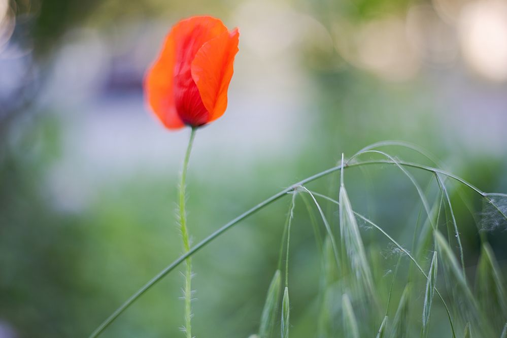 Photograph by Ирина