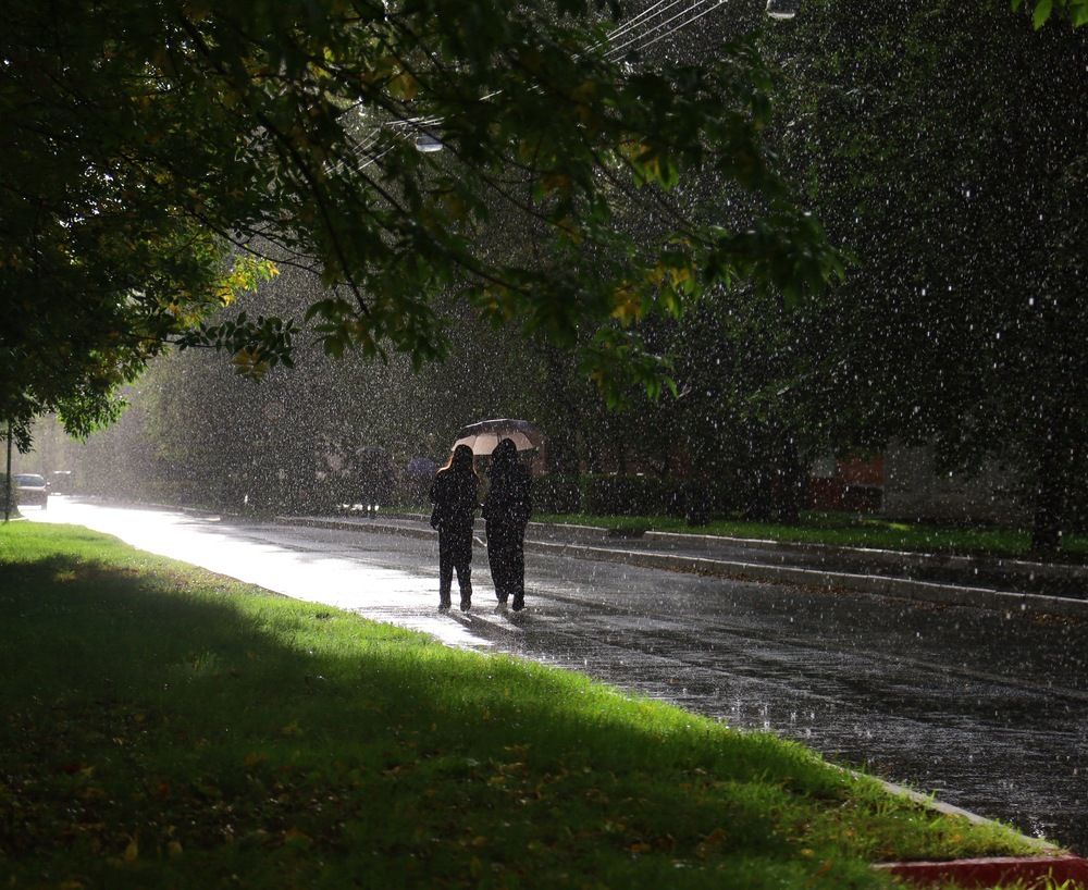 Photograph by Dima Barzykin