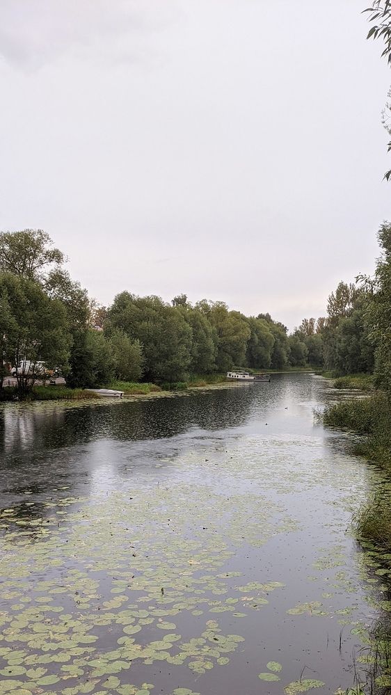 Фотография автора Васильева Ирина