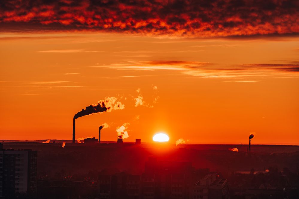 Photograph by Елена Ефимова