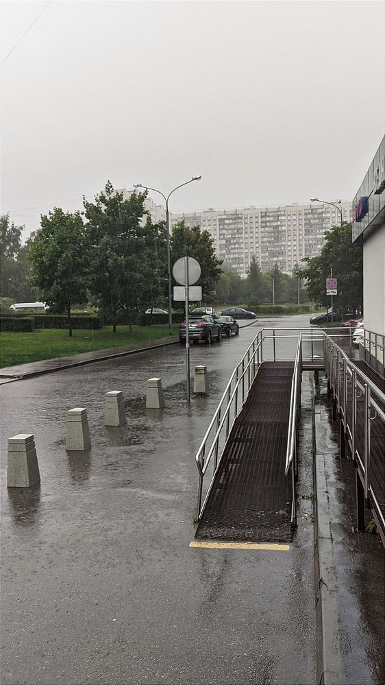 Фотография автора Васильева Ирина