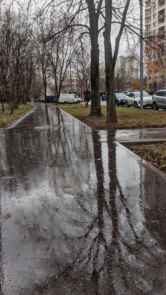 Фотография автора Васильева Ирина