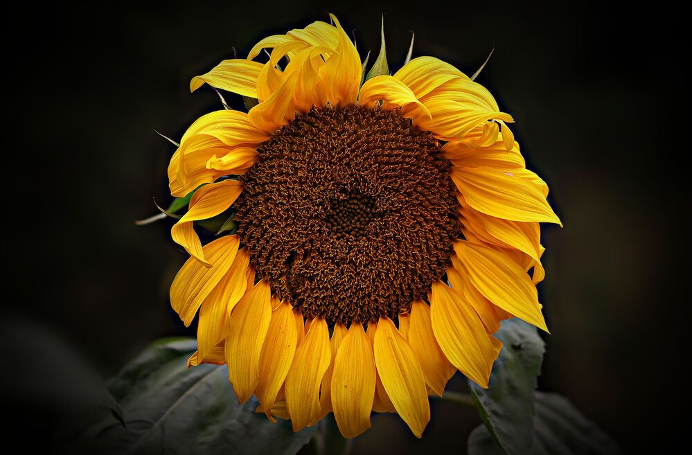 Photograph by Sergey Platonoff