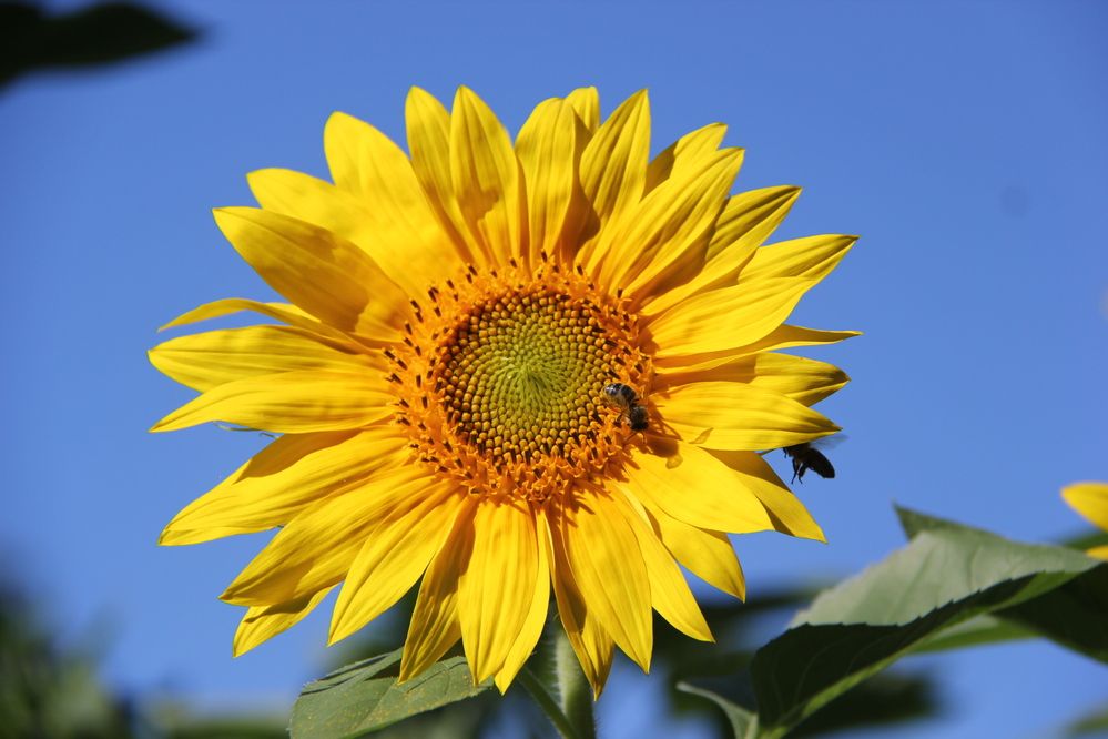 Photograph by Nikita Zorin