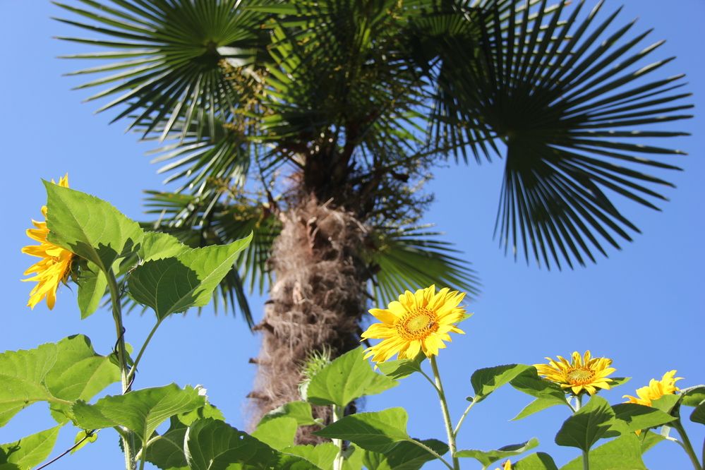 Photograph by Nikita Zorin