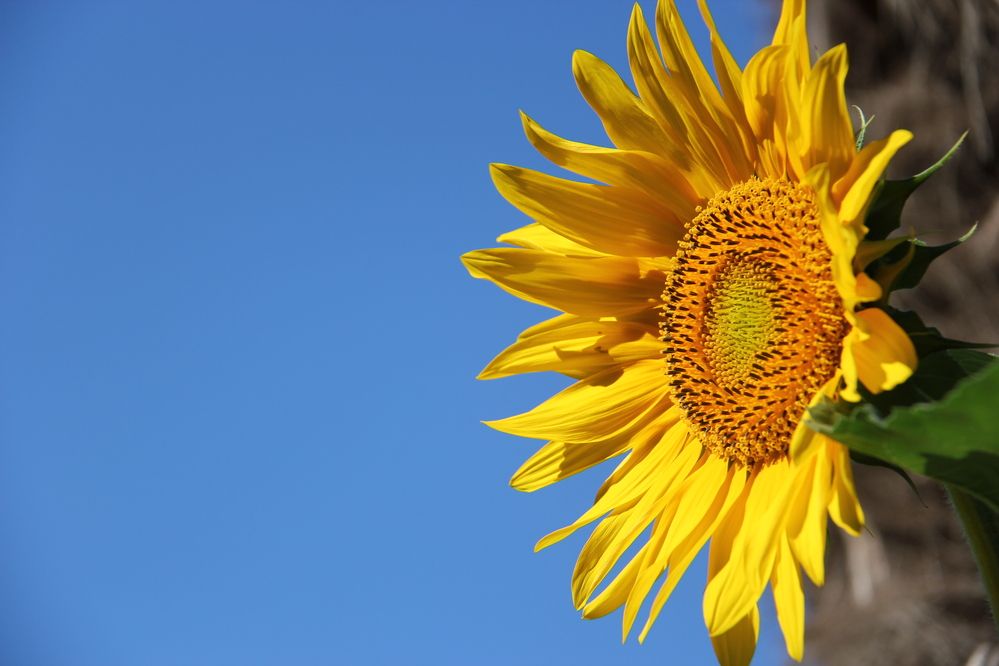 Photograph by Nikita Zorin