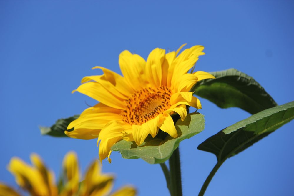 Photograph by Nikita Zorin