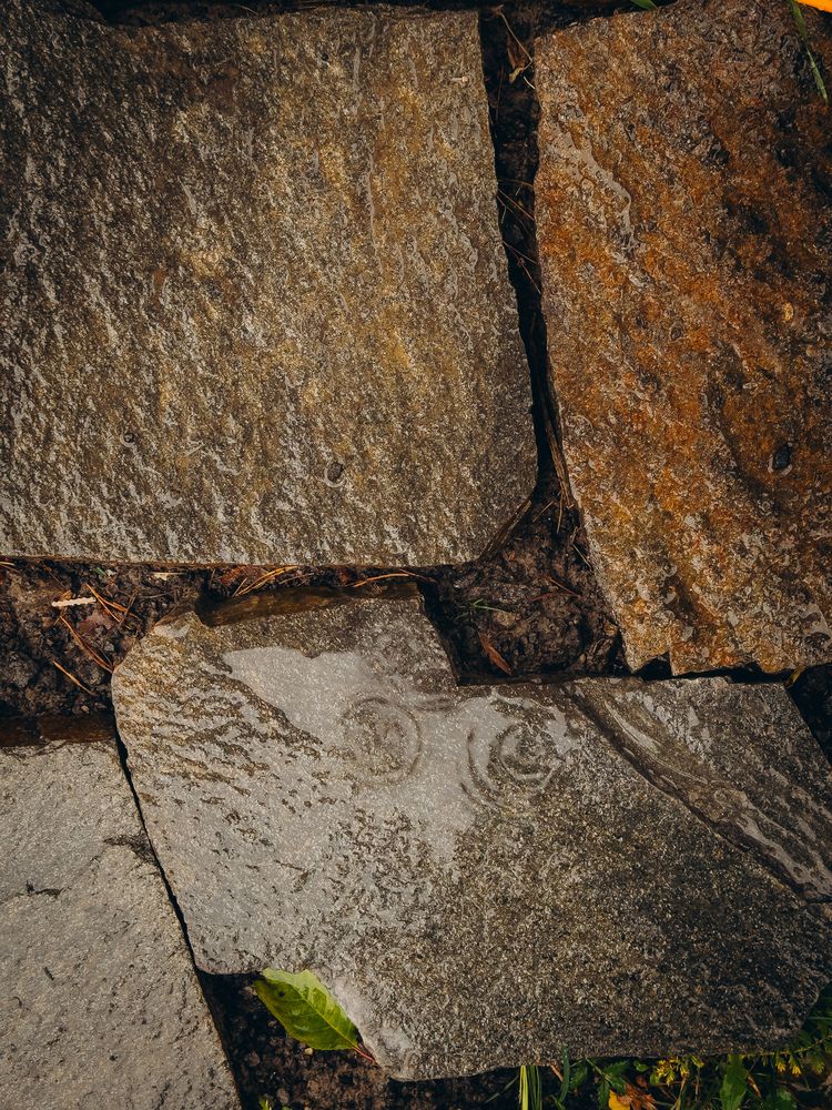 Photograph by Алёна Горошко