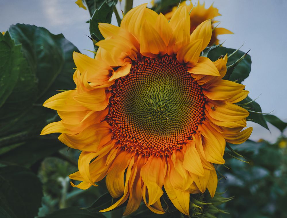 Photograph by Dace Spalvina