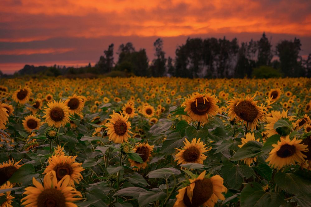 Photograph by Dace Spalvina