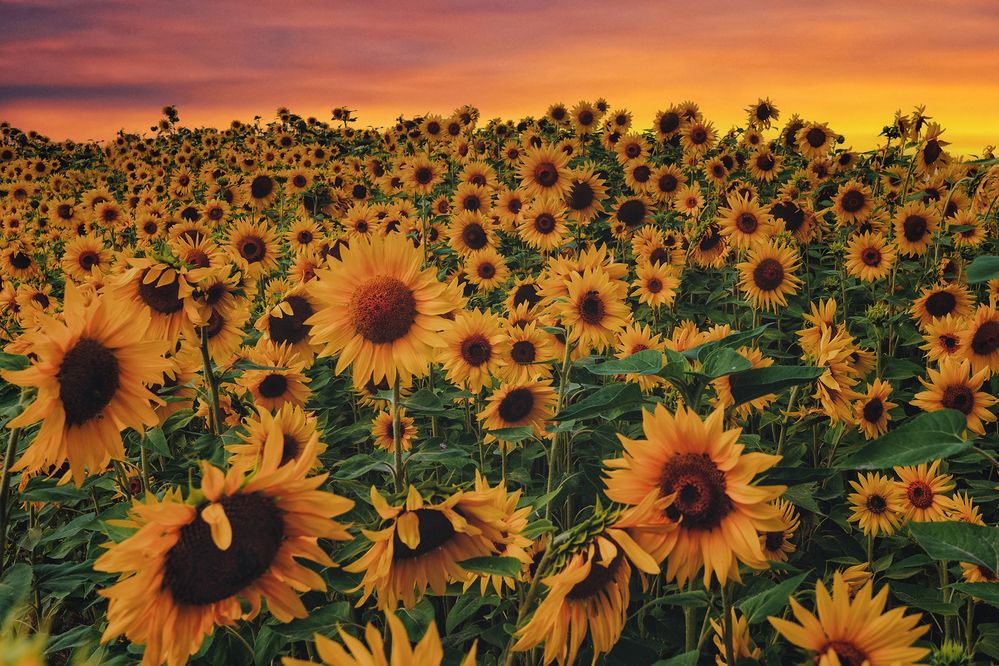 Photograph by Dace Spalvina