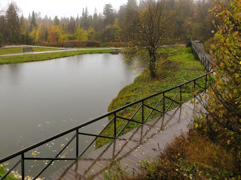 Мокрый октябрь