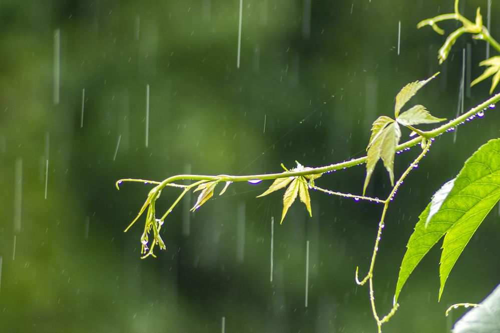 Photograph by Sergey Tsubanov