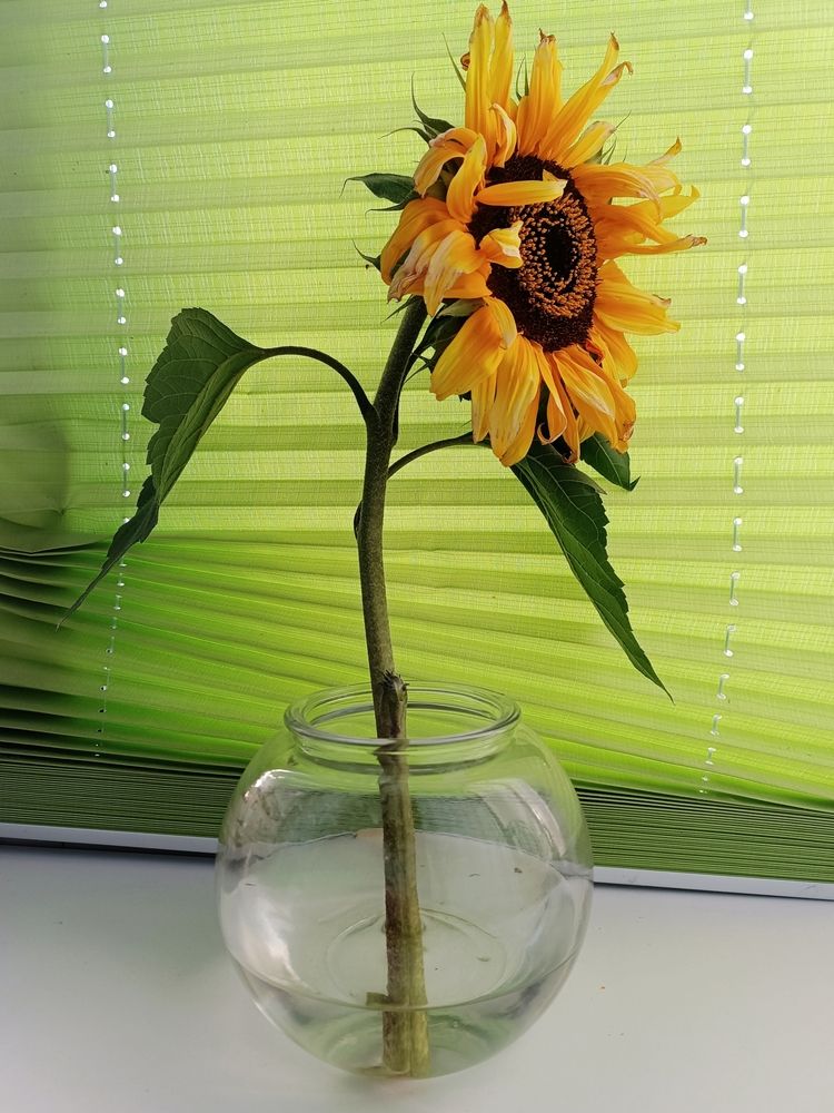 Photograph by Olga Kot