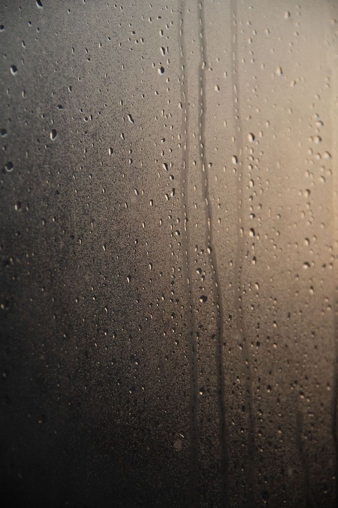 Photograph by Хайбуллина Флора