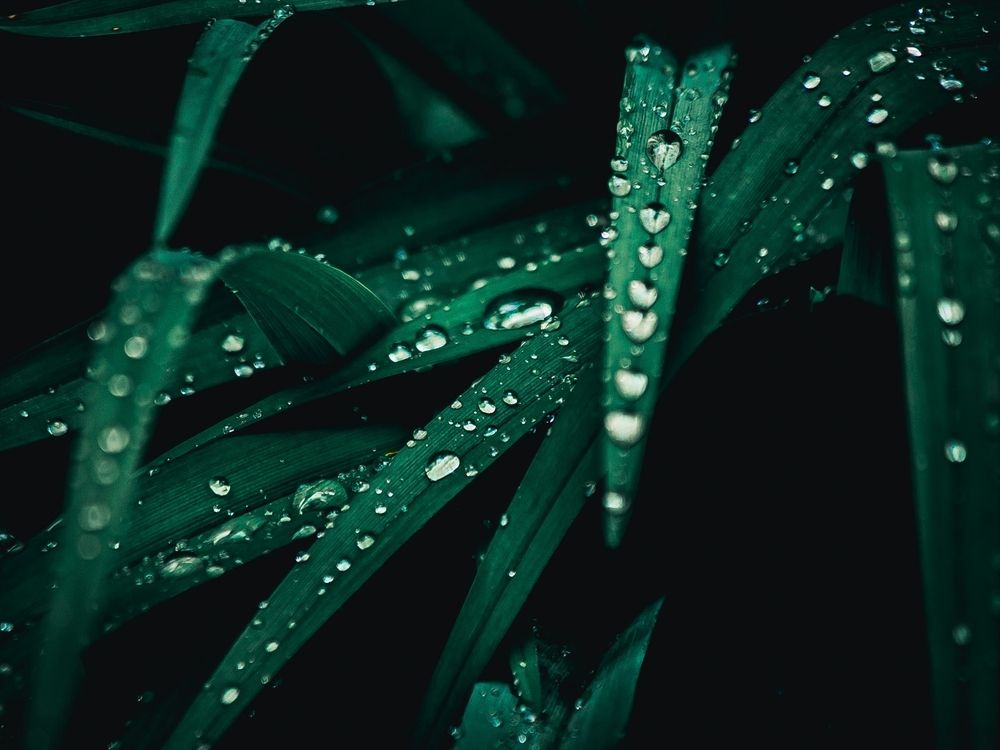 Photograph by Elena Chilikina