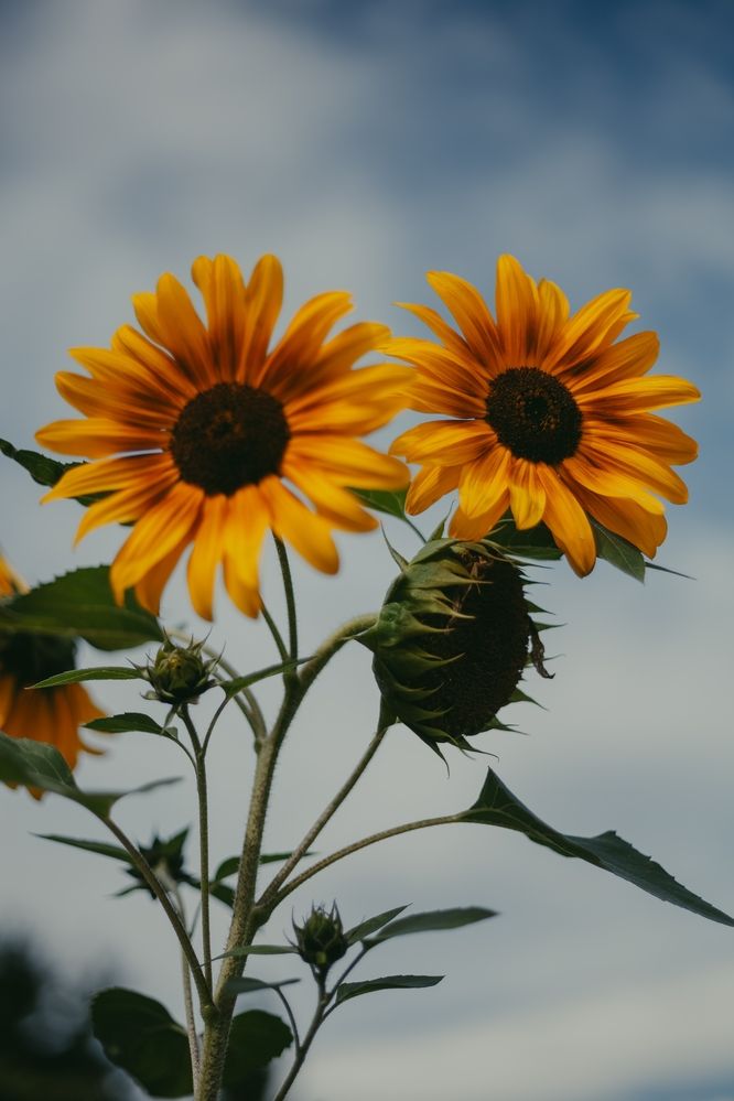 Photograph by Света Вирбицкас