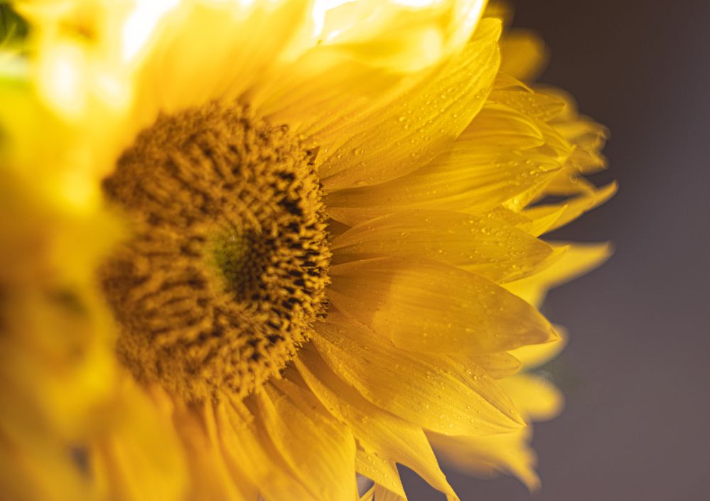 Photograph by Дмитрий Давидов