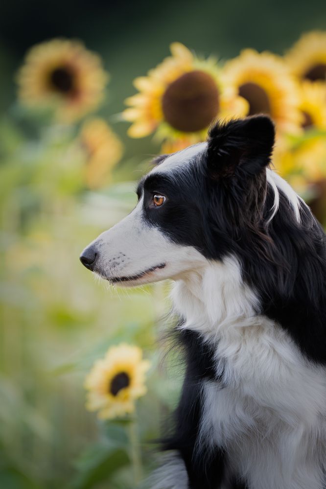 Photograph by ALESSIA ROSSI