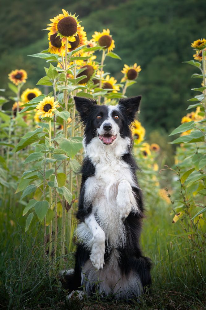 Photograph by ALESSIA ROSSI