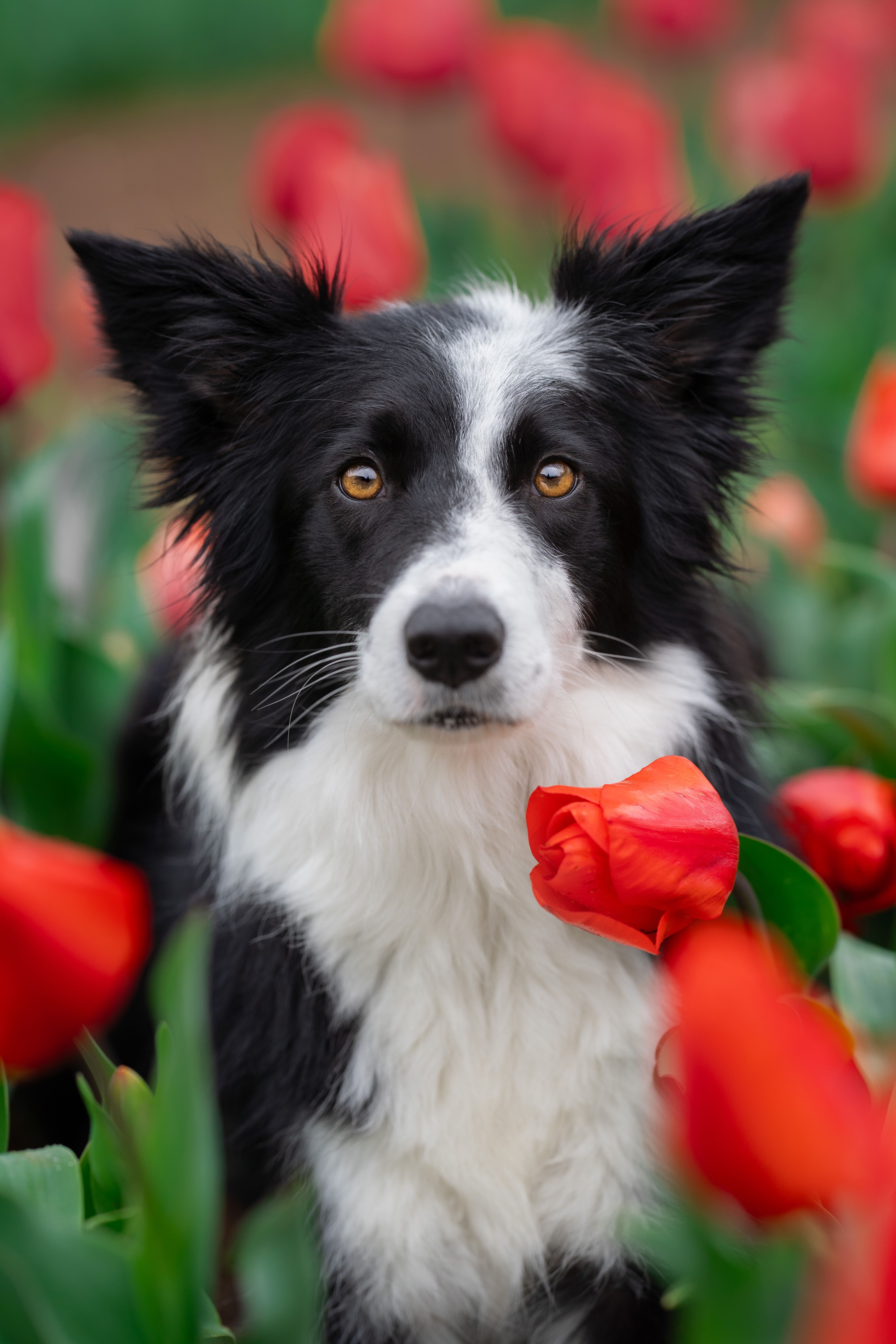 Photograph by ALESSIA ROSSI