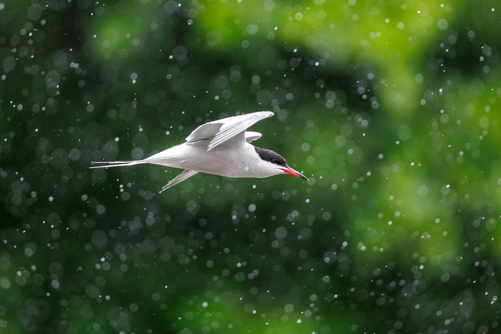 Photograph by Антон Науменко