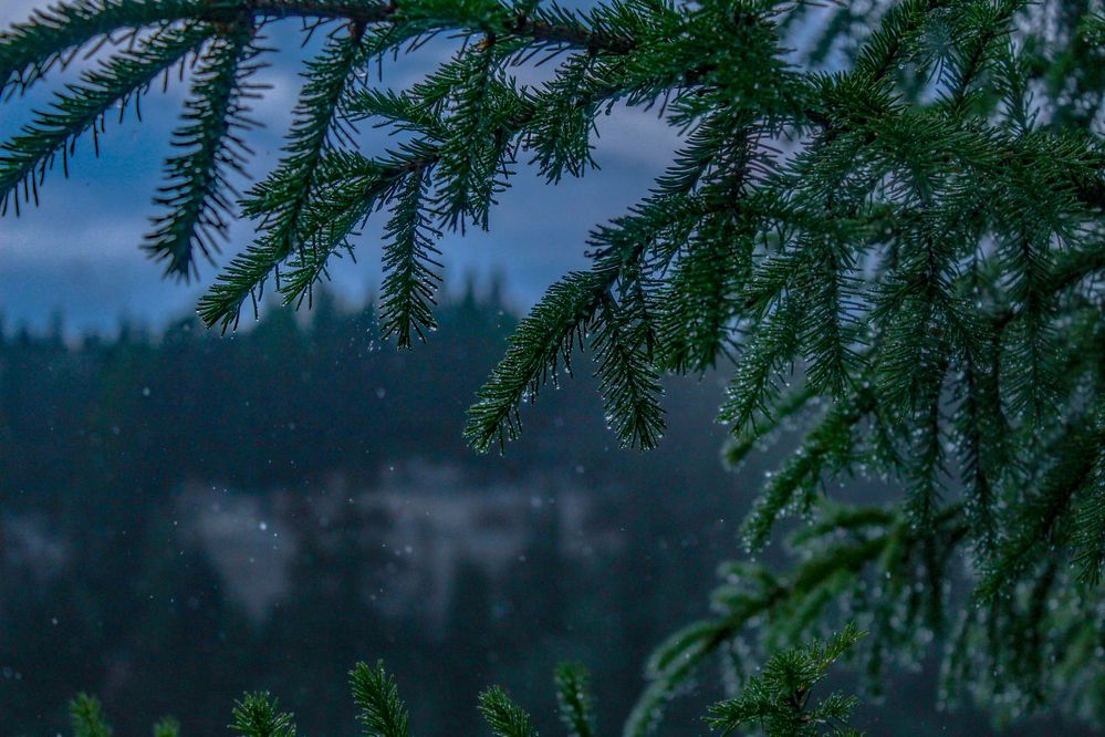 Photograph by Александр Суворов