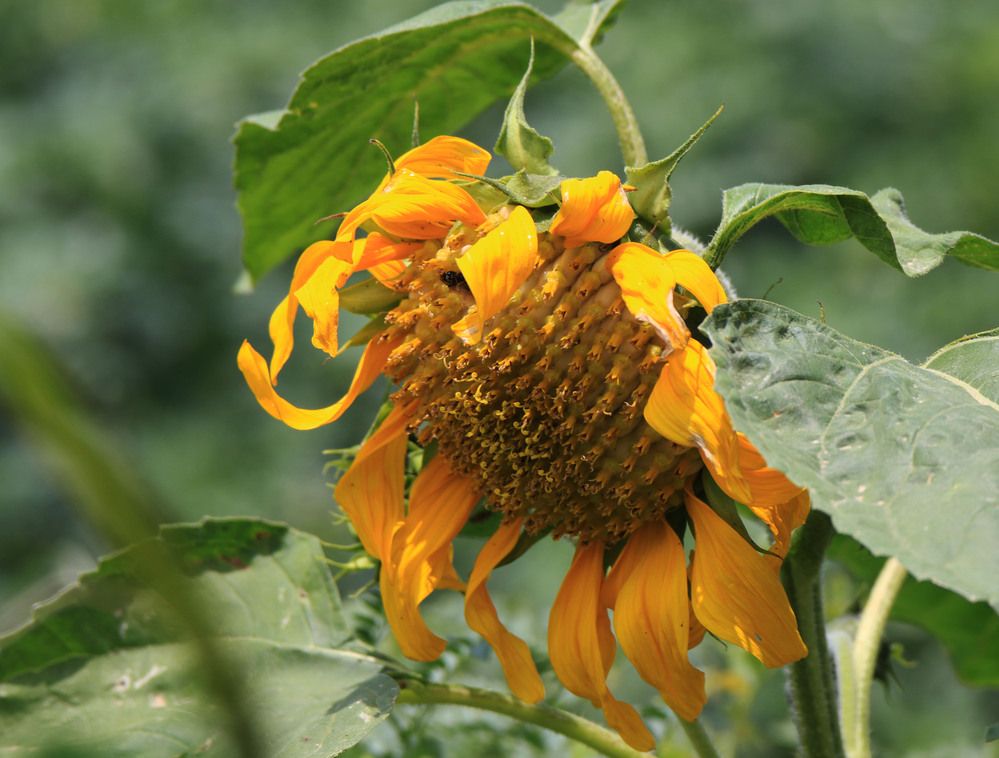 Photograph by Валентина Лопаткина