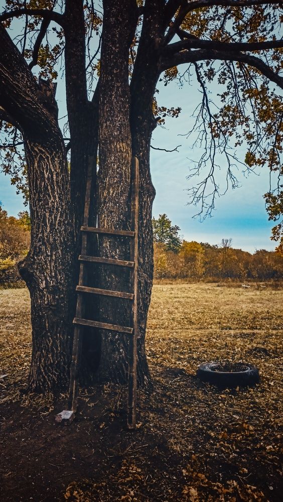 Photograph by Людмила Горячева