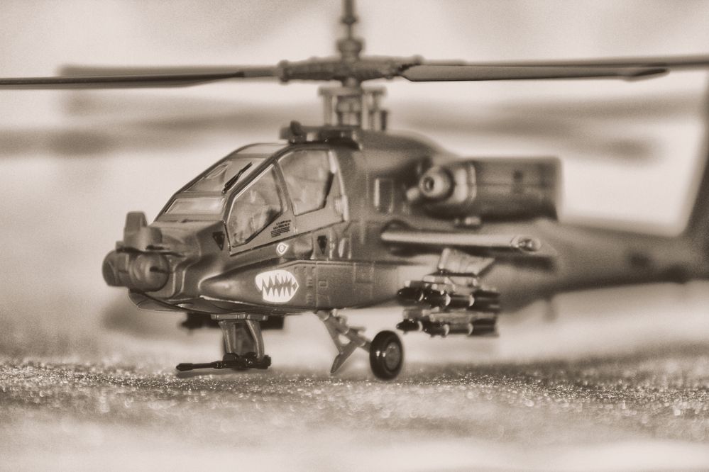 Photograph by Александр Малютин