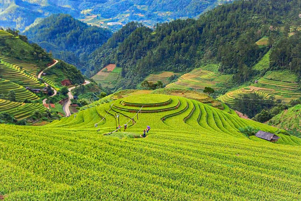 Photograph by Vy Van Bui