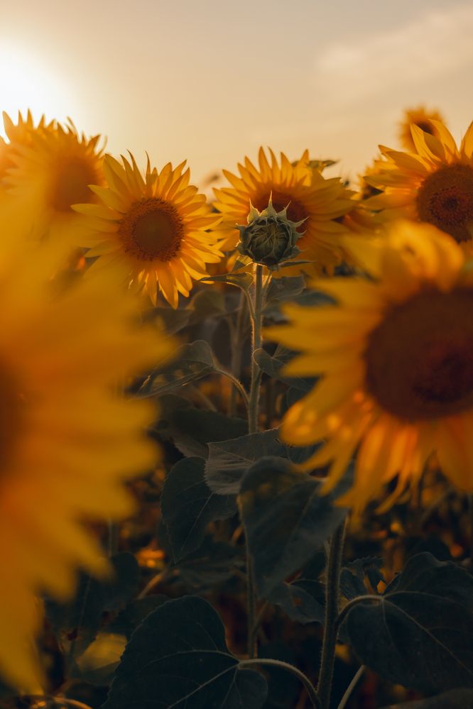 Photograph by Наталия Курнева