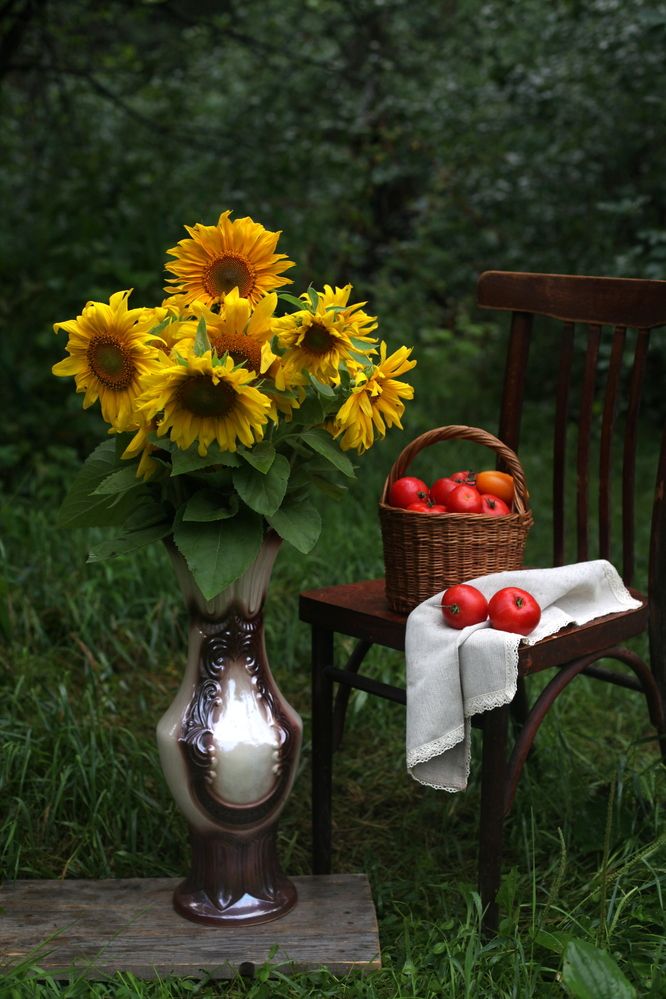 Подсолнухи